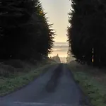 Der Hirsch