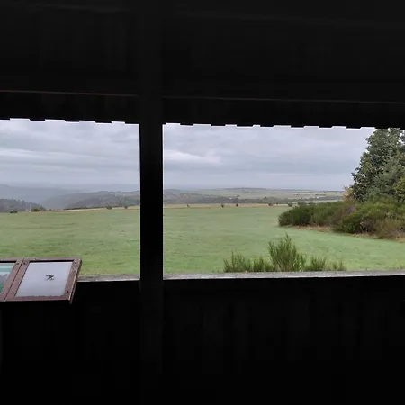 Der Hirsch * Monschau