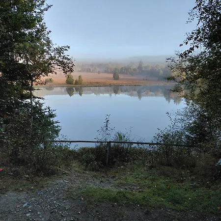 Der Hirsch モンシャウ