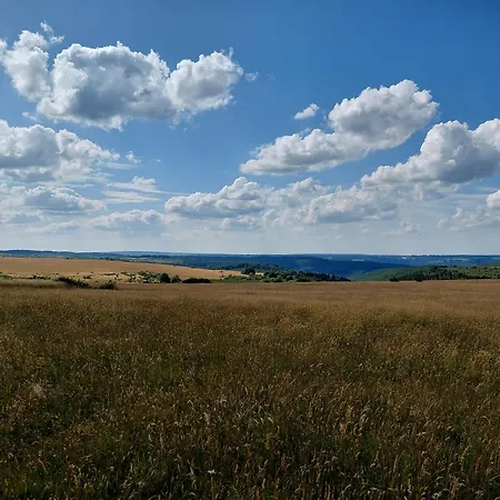 Der Hirsch * モンシャウ