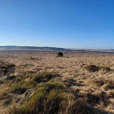 Der Hirsch Ξενοδοχείο