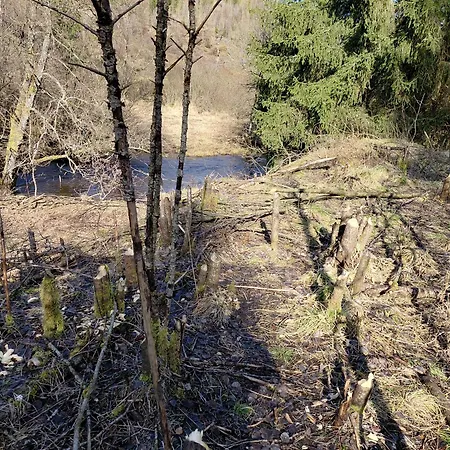 Hotel Der Hirsch *