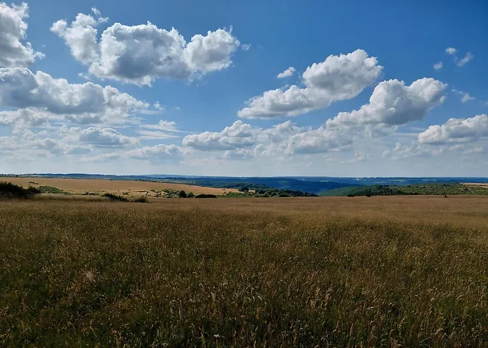 Der Hirsch * Monschau