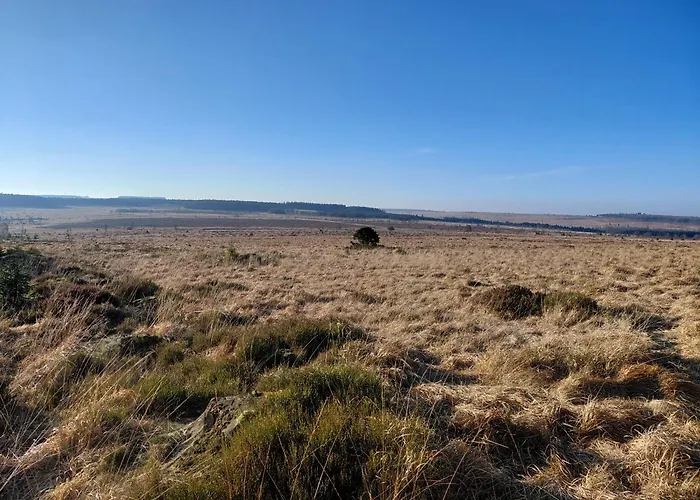 Der Hirsch ホテル